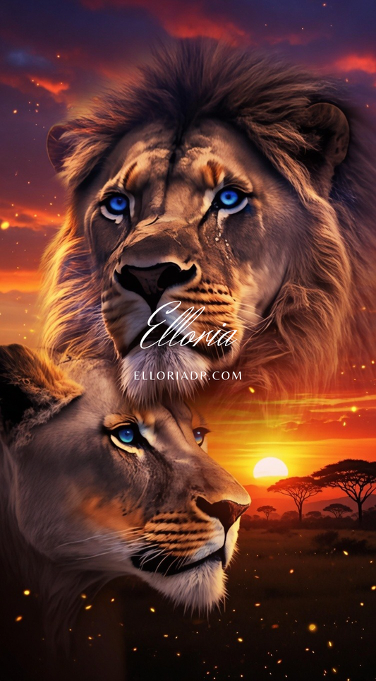 Diamond Painting Eternal Lions – Sunset Bond ELLORIA